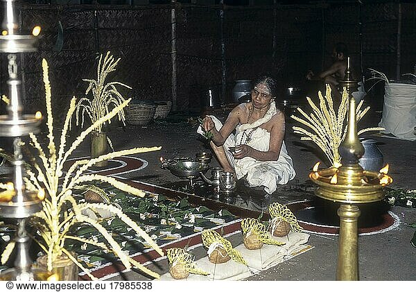 Sarpam kalam im Sree Nagaraja-Tempel in Mannarsala  Kerala  Indien. Pooja für den Schlangengott