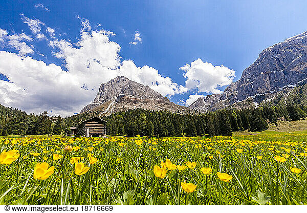Sass De Putia and Passo delle Erbe in spring  Dolomites  South Tyrol