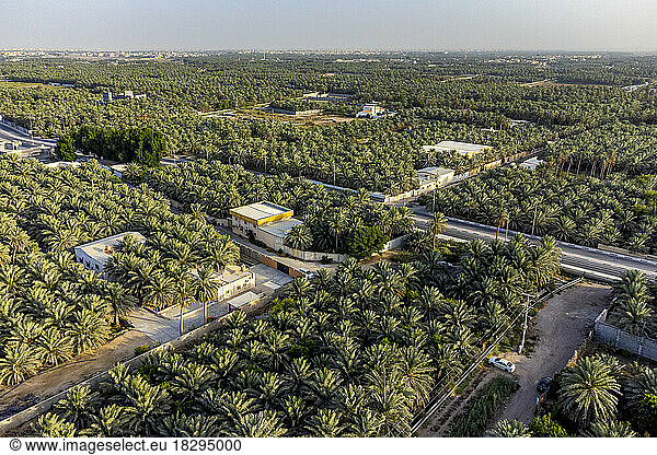 Saudi Arabia  Eastern Province  Al-Hofuf  Aerial view of Al-Ahsa Oasis