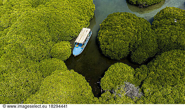 Saudi Arabia  Jazan Province  Aerial view of boat sailing through mangrove forest in Farasan Islands archipelago
