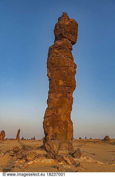 Saudi Arabia  Medina Province  Al Ula  Algharameel pinnacle at dusk