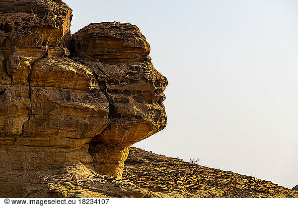 Saudi Arabia  Medina Province  Al Ula  Sandstone rock formation resembling human head