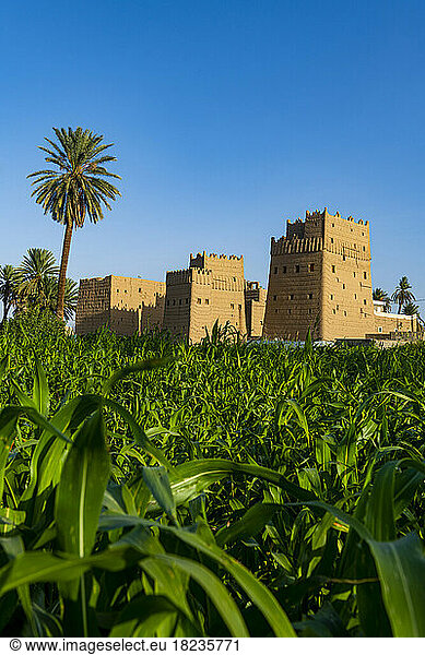 Saudi Arabia  Najran Province  Najran  Green plants growing in front of traditional Arabic mud houses