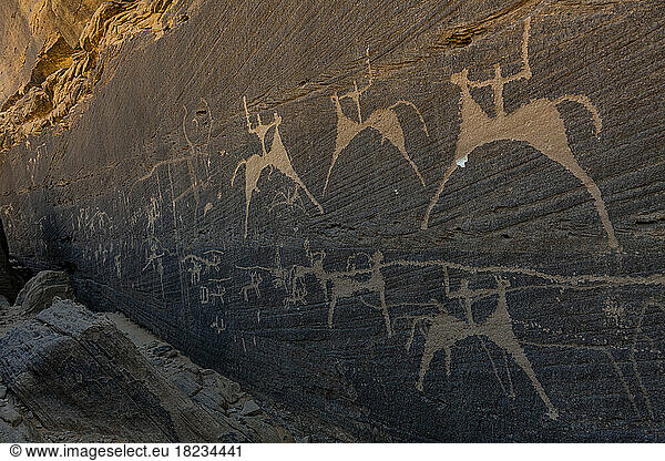 Saudi Arabia  Najran Province  Najran  Prehistoric petroglyphs and inscriptions of Bir Hima