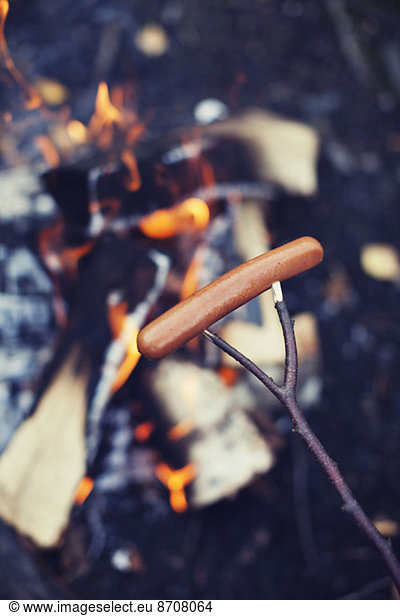 Sausage cooking on campfire