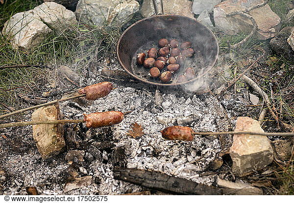 Sausages and chestnuts being cooked on campfire in forest