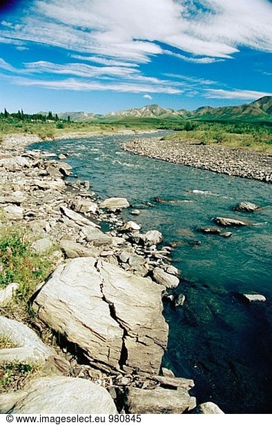 Savage River. Denali-Nationalpark. Alaska. USA.