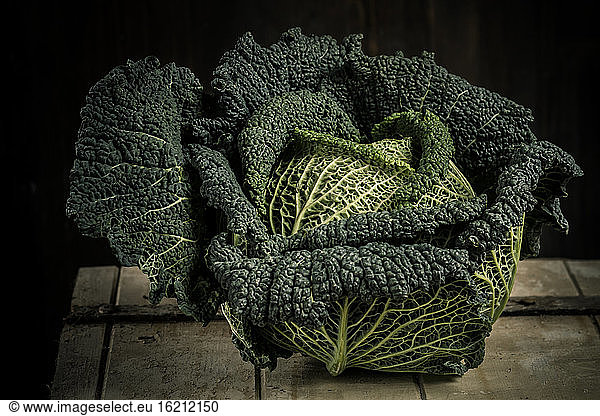 Savoy cabbage against black background