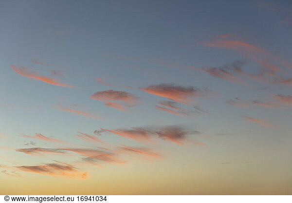 Scattering of pink clouds at dawn  Oregon