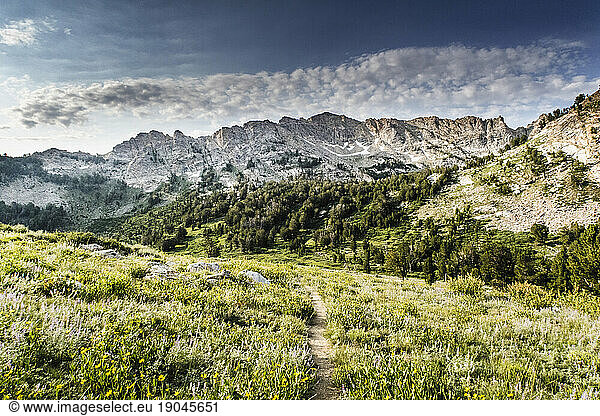 Scenery with Ruby Mountains and meadow  Ruby Crest National Recreation Trail  Elko  Nevada  USA