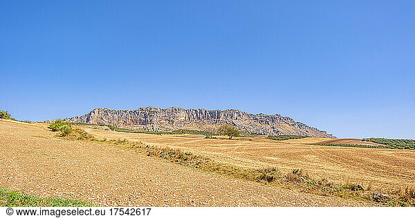 Scenic landscape at El Torcal Nature Reserve on sunny day  Andalucia  Spain  Europe