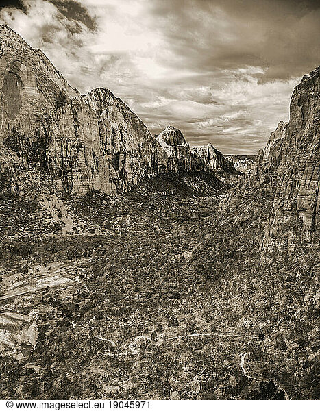Scenic landscape of canyon in Zion National Park  Utah  USA