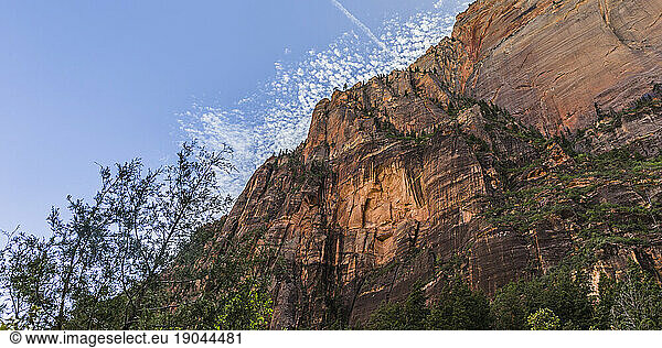 Scenic landscape of cliffs in Zion National Park  Utah  USA