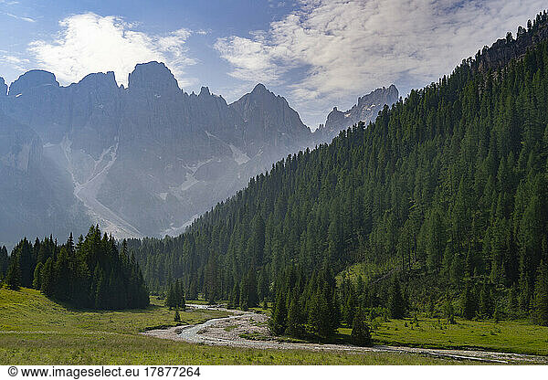 Scenic landscape with trees and mountain range at Pale di San Martino Park  Trentino  Italy