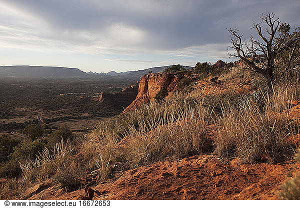 Scenic overlook in Sedona  Arizona  USA