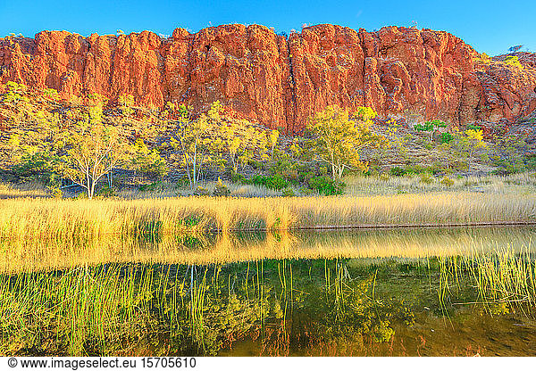 Scenic red sandstone wall and bush vegetation reflected in waterhole  Glen Helen Gorge at West MacDonnell Ranges  Central Australian Outback along Red Centre Way  Northern Territory  Australia  Pacific