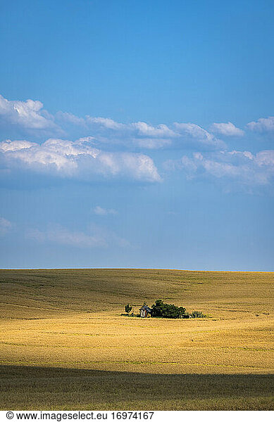 Scenic view of barn on field near Kyjov  Hodonin District  South Moravian Region  Moravia  Czech Republic