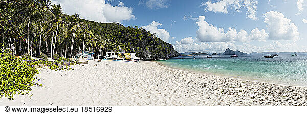 Scenic view of beach by tropical trees