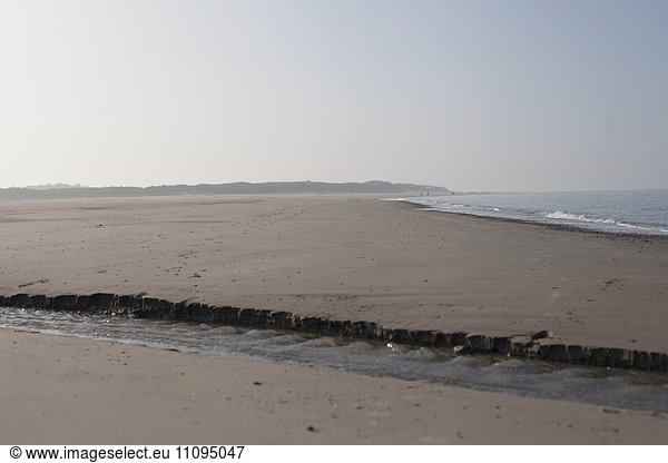 Scenic view of beach during dawn  Renesse  Schouwen-Duiveland  Zeeland  Netherlands