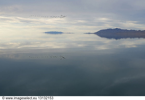 Scenic view of birds reflection on Great Salt Lake