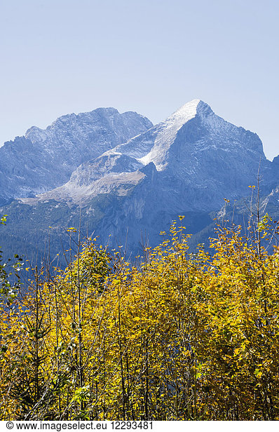 Scenic view of forest and snowcapped mountain in Bavarian alps  Alpspitz  Wetterstein Mountain