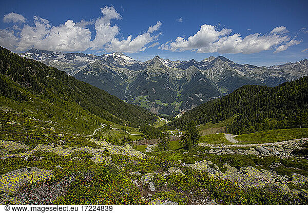 Scenic view of green forested Aurina Valley in summer