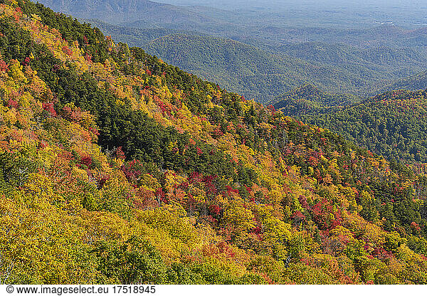 Scenic view of landscape with autumn trees at national park