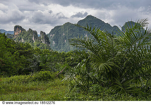 scenic view of limestone mountains at Khao Sok national park