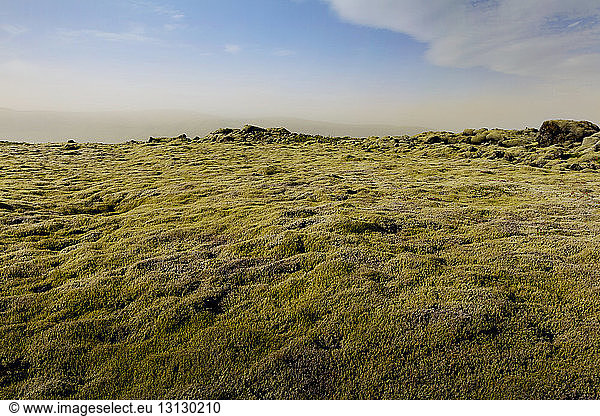 Scenic view of moss covered rocky landscape against sky