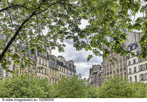 Scenic view of Place Dauphine  lle de la Cite  Paris  France