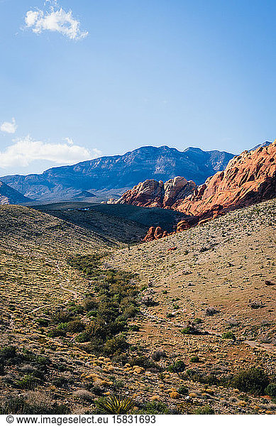 Scenic view of Red Rocks State Park  Nevada  North America