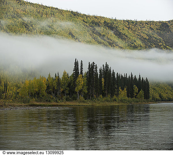 Scenic view of river at Yukon_Charley Rivers National Preserve during foggy weather