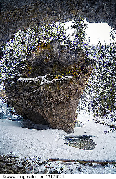 Scenic view of rock formation in forest during winter
