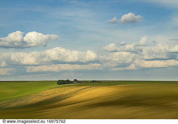 Scenic view of rolling field against sky near Kyjov  Hodonin District  South Moravian Region  Moravia  Czech Republic