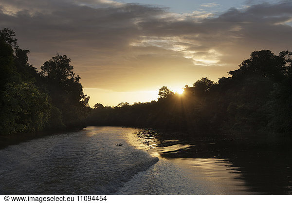 Scenic view of sunrise over river  Orinoco River  Orinoco Delta  Venezuela