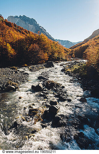 Scenic view of trees  a river and snowy mountains in autumn