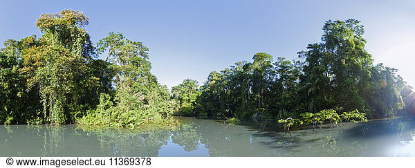 Scenic view of tropical rainforest and river  Tortuguero National Park  Limon Province  Costa Rica