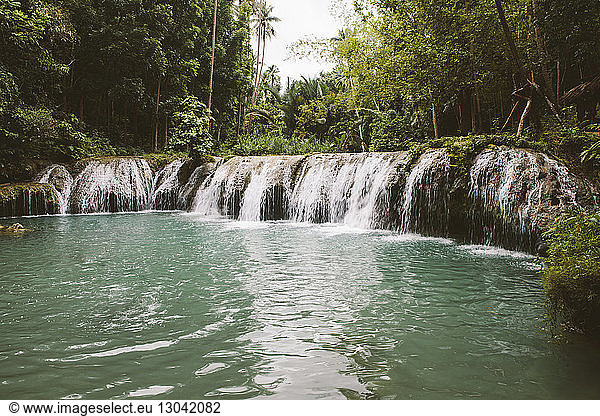 Scenic view of waterfalls amidst forest