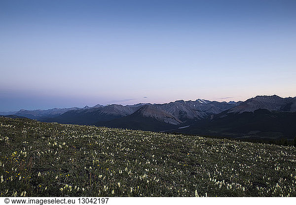 Scenic view of wildflowers growing on field against mountain ranges and clear sky during dusk