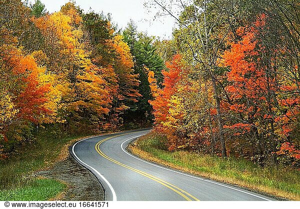 Schöne Herbst Farbe Laub in voller Herbst Schönheit mit einer kurvenreichen S-Kurve Landstraße.