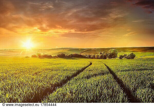 Schöner Sonnenuntergang in den Feldern von Mähren  Tschechische Republik. Mit Streulicht und Linsenreflexion