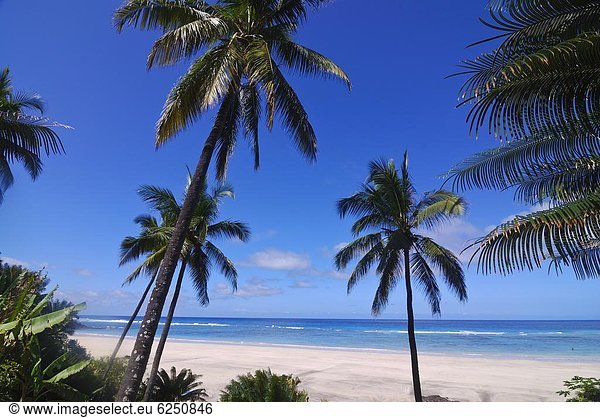 Schönheit  Strand  Sand  Afrika  Komoren  Indischer Ozean  Indik