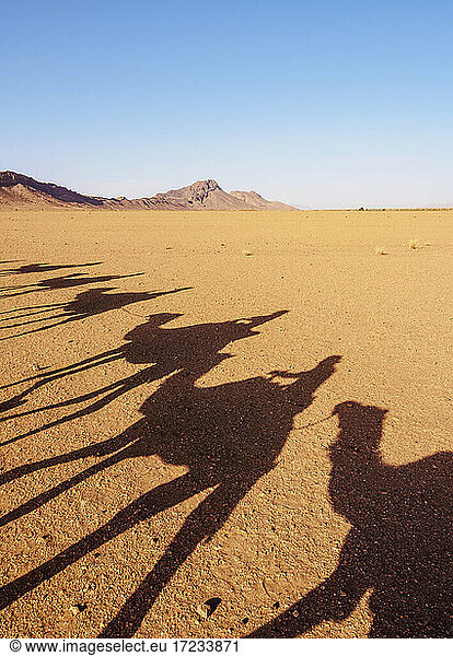 Schatten von Menschen auf Kamelen in einer Karawane in der Zagora-Wüste  Draa-Tafilalet Region  Marokko  Nordafrika  Afrika