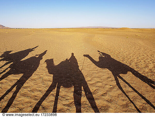 Schatten von Menschen auf Kamelen in einer Karawane in der Zagora-Wüste  Draa-Tafilalet Region  Marokko  Nordafrika  Afrika