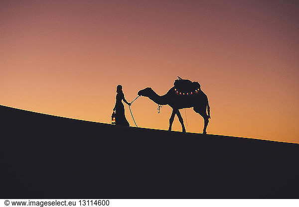 Scherenschnittfrau mit Kamel beim Spaziergang in der Sahara vor klarem Himmel