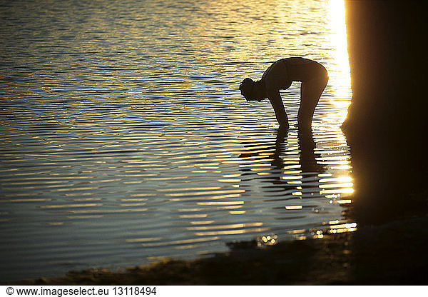 Scherenschnittschwimmer beugt sich bei Sonnenuntergang an einem Baum im See