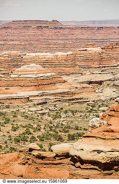 Schichten aus rotem und weißem Sandstein bilden das Labyrinth in Canyonlands Utah