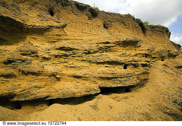 Schichten von Red Crag Sedimentgestein in einer ehemaligen Steinbruchgrube in Sutton Suffolk England