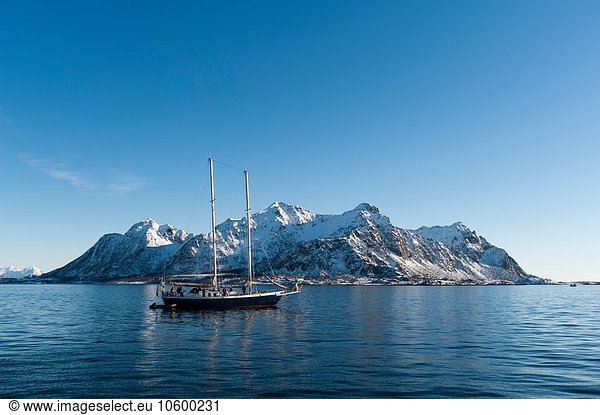 Schifffahrt vor schneebedeckten Bergen  Svolvaer  Lofoten  Norwegen