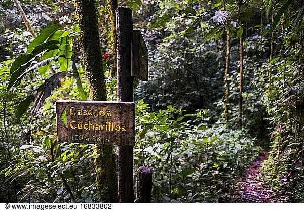 Schild des Cucharillos-Wasserfalls im Choco-Regenwald  Ecuador. Dieses Gebiet des Dschungels ist der Mashpi-Nebelwald in der Provinz Pichincha in Ecuador  Südamerika